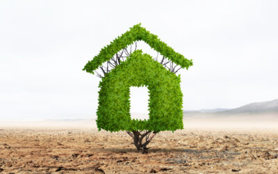 Rénovation écologique : comment rendre votre maison plus durable